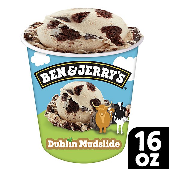 Ben & Jerry's Dublin Mudslide Ice Cream - 16 Oz