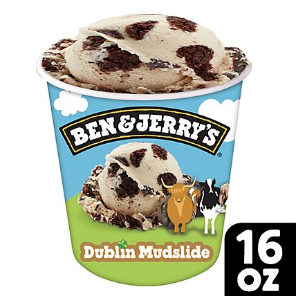 Ben & Jerry's Dublin Mudslide Ice Cream - 16 Oz - Image 1