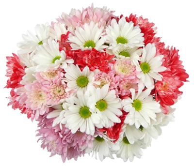 Valentines Pom Bunch - Each - Image 1