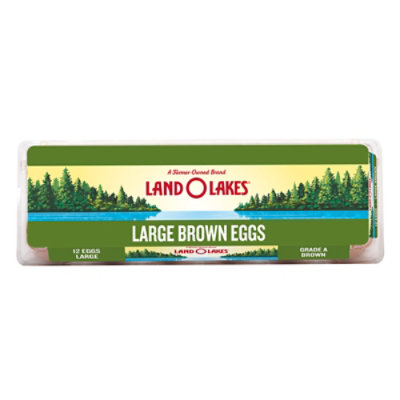 Land O Lakes Large Brown Eggs  - 12 Count - Image 1