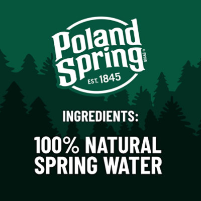 Poland Spring Natural Spring Water - 6-23.7 FZ - Image 4