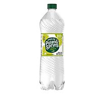 Poland Spring Sparkling Lime Water - 33.8 FZ