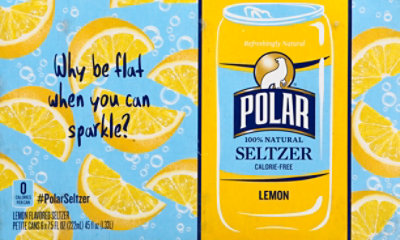 Polar Lemon Seltzer Cans - 6-7.5 FZ - Image 6