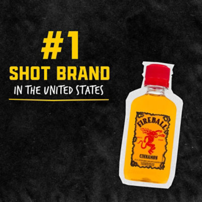 Fireball Cinnamon Malt Beverage 33 Proof Plastic Bottle - 6-100 Ml - Image 2
