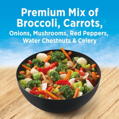 Birds Eye Broccoli Stir Fry Frozen Vegetables - 14.4 Oz - Image 2