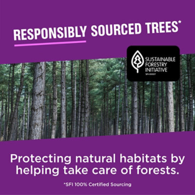 Vanity Fair Extra Absorbent Everyday Napkin  - 160 Count - Image 5