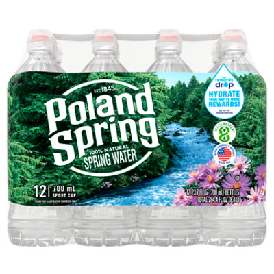 Poland Spring 100% Natural Premium Spring Water - Small, Mini 8 Fl Oz  Bottles | Pack of 24