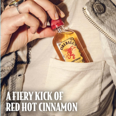 Fireball Cinnamon Malt Beverage 33 Proof Plastic Bottle - 100 Ml - Image 2