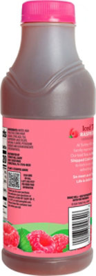 Turkey Hill Raspberry Tea - 18.5 FZ - Image 6