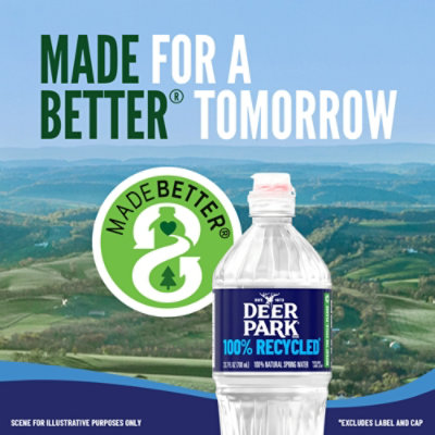 Deer Park Spring Water - 12-16.9 FZ - Image 4