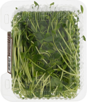 Pea Shoots - 6 OZ - Image 5