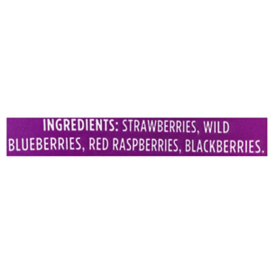 Wymans Mixed Berries - 15 OZ - Image 5