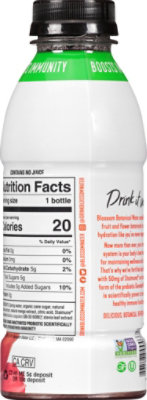 Blossom Water Mango Hibiscus - 16.9 FZ - Image 6