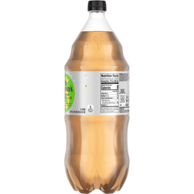 Seagrams Diet Ginger Ale - 2 LT - Image 6