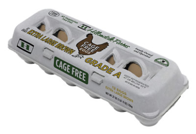 Hillandale Eggs Xlg Cage Free Brown - 12 CT - Image 1