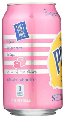 Polar Soda Lemonade Pink Raspberry - 12 FZ - Image 6