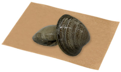 Cherrystone Clams Service Case - 1 Lb - Image 1