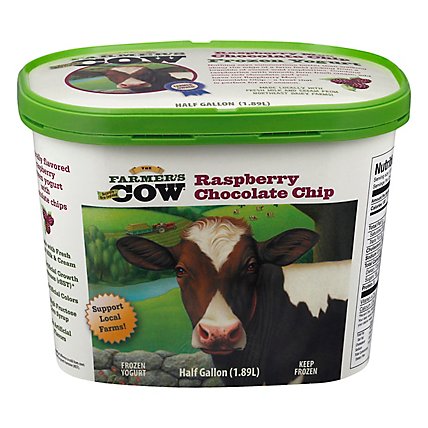 Naturally Flavored Raspberry Frozen Yogurt With Chocolate Chips - 64 OZ - Image 3