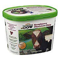 Naturally Flavored Raspberry Frozen Yogurt With Chocolate Chips - 64 OZ - Image 1