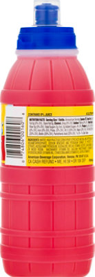 Big Hug Big Barrel Juice Fruit Punch - 16 Oz - Image 6