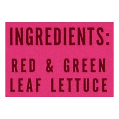 Little Leaf Farms Red Green Leaf Lettuce Blend - 8 Oz - Image 4