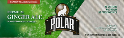 Polar Soda Ginger Ale - 12-12 FZ - Image 6