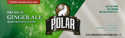 Polar Soda Ginger Ale - 12-12 FZ - Image 2