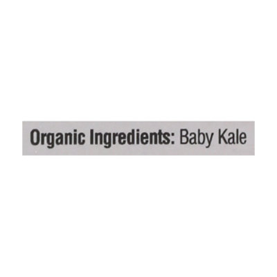 Olivia Organic Baby Kale - 5 OZ - Image 5