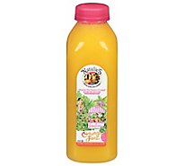 Natalie's Orchid Island Orange Juice - 16 Oz
