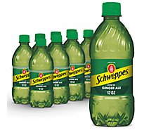 Schweppes Soda Ginger Ale - 8-12 FZ