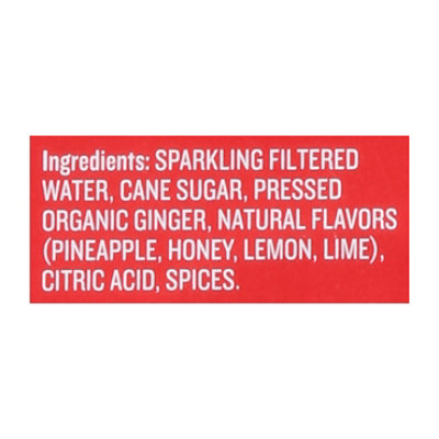 Reed's Extra Ginger Beer 4pk - 4-12 FZ - Image 5