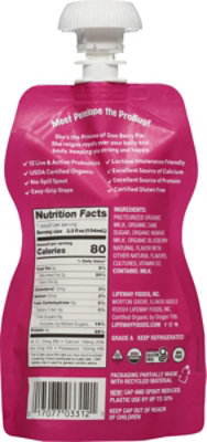 Lifeway Probugs Organic Goo Berry Kefir - 3.5 Oz - Image 6