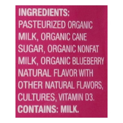 Lifeway Probugs Organic Goo Berry Kefir - 3.5 Oz - Image 5