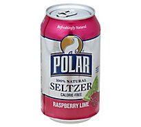 Polar Seltzer Raspberry Lime - 6-12 FZ