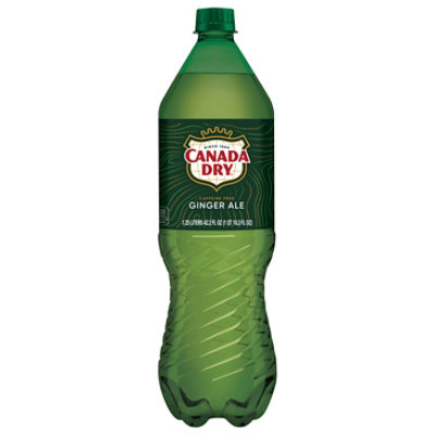 Canada Dry Soda Ginger Ale - 42.2 FZ - Image 3