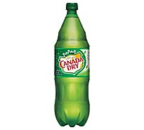 Canada Dry Soda Ginger Ale - 42.2 FZ