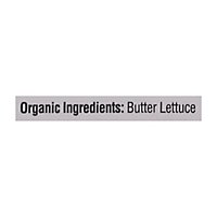 Olivias Baby Butter Lettuce - 5 OZ - Image 5