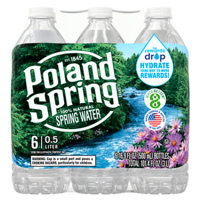 Poland Spring Spring Water Natural - 6-16.9 FZ - Image 1