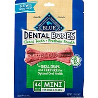 Blue Dental Bones Mini - 12 OZ - Image 2