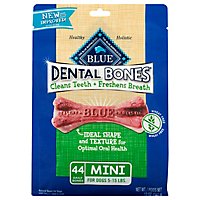 Blue Dental Bones Mini - 12 OZ - Image 1