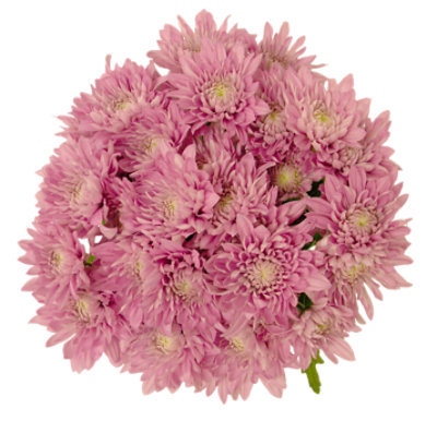 Hot Pink Box Std - .8 LB - Image 1