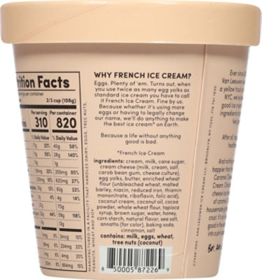 Vanleeuwen Ice Cream Chocolate - 14 OZ - Image 6