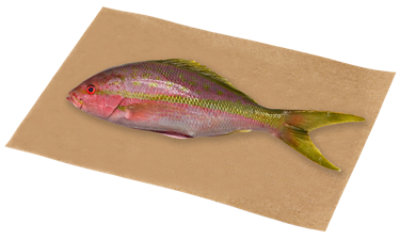 Snapper Whole Fresh - 2 Lb - Image 1
