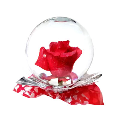 Rose Globe Valentine - Each - Image 1