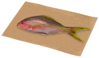 Seafood Snapper Whole Fish Service Case - 2 Lb - Image 1