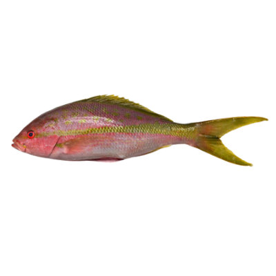 Seafood Snapper Whole Fish Service Case - 2 Lb - Image 1