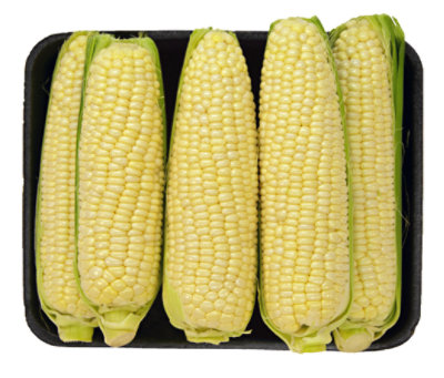 Corn - 5 CT