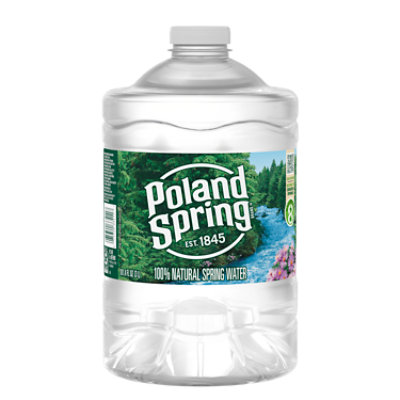 Poland Spring 100% Natural Premium Spring Water - Small, Mini 8 Fl Oz  Bottles | Pack of 24