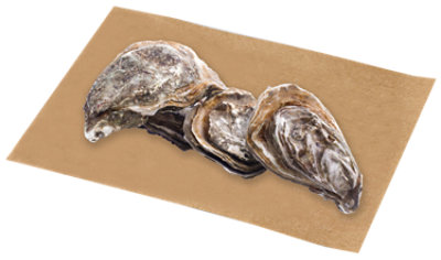 Oysters Blue Point Live Service Case - 1 Lb - Image 1