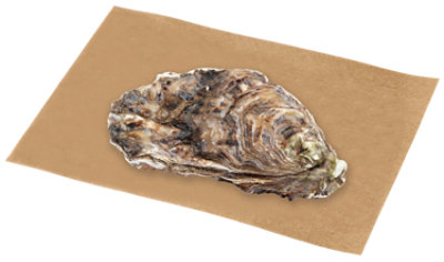 Oysters Scorton Creek Net Wt 1.4 Oz - EA - Image 1